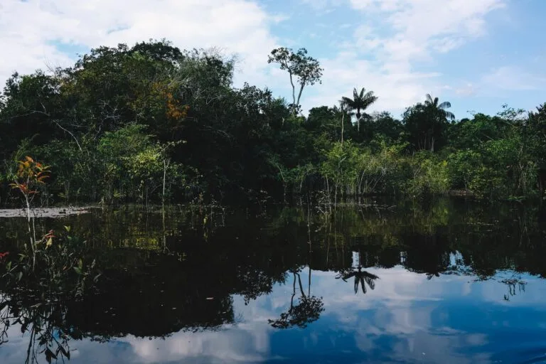 Exploring the Mythical City of Gold, El Dorado